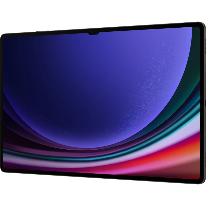 Планшет Samsung Galaxy Tab S9 Ultra LTE 16/1Tb Graphite (SM-X916B) фото 5