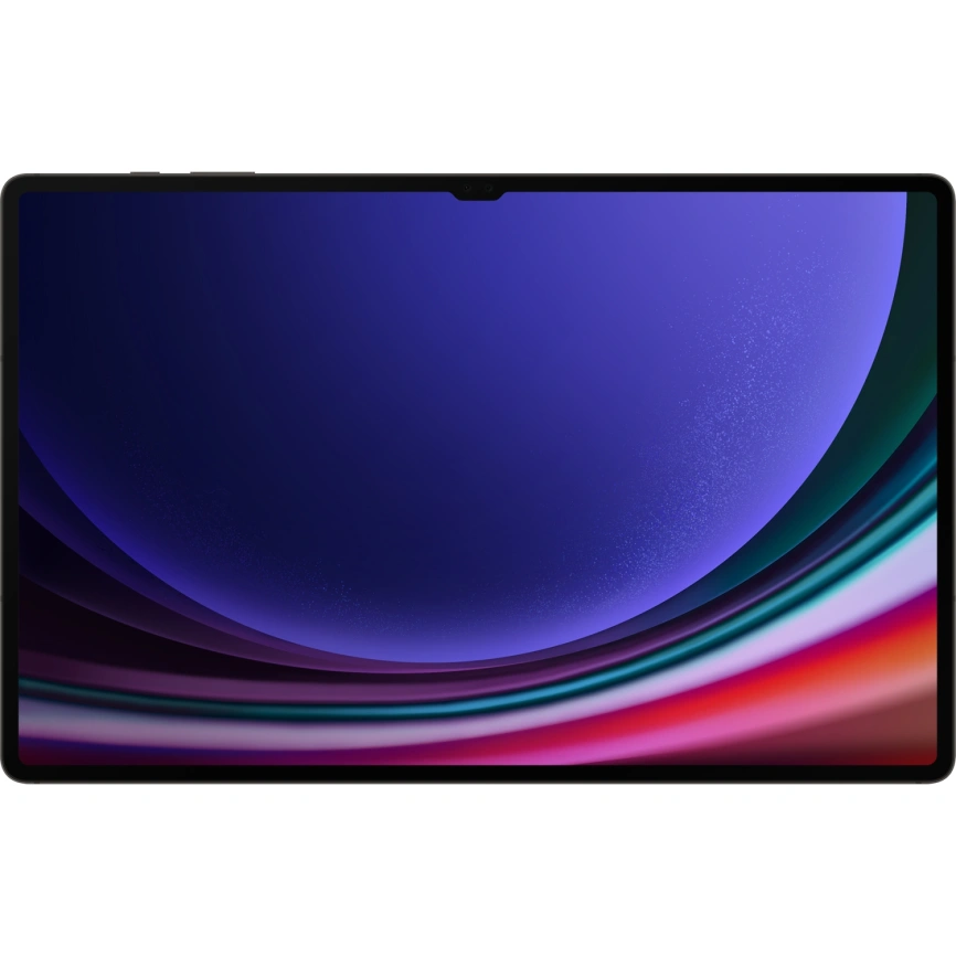 Планшет Samsung Galaxy Tab S9 Ultra LTE 16/1Tb Graphite (SM-X916B) фото 4